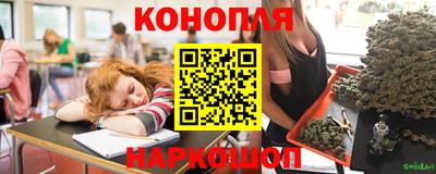 стаф Коммунар