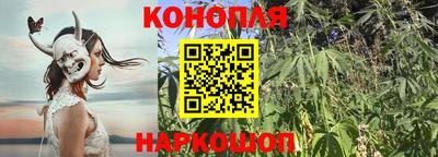 стаф Коммунар