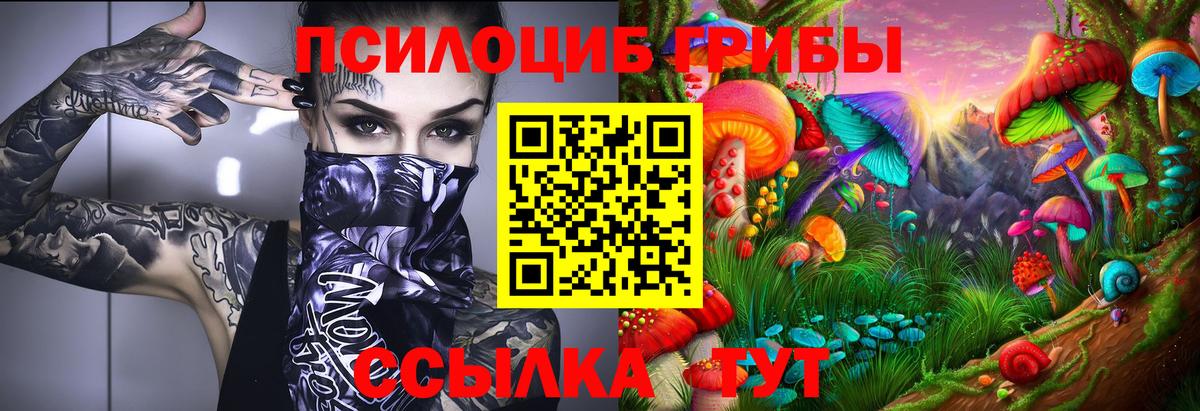 Галлюциногенные грибы Psilocybine cubensis Улан-Удэ