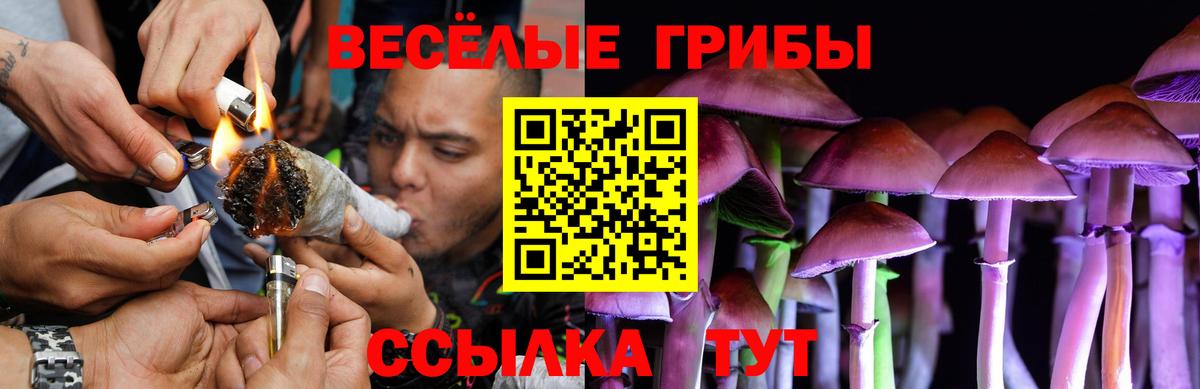 Псилоцибиновые грибы прущие грибы  Вход с VPN  Улан-Удэ 
